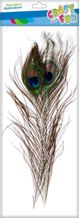 Craft With Fun Διακοσμητικό Φτερό Παγώνι, 32cm, Πολύχρωμο, για Χειροτεχνίες και Διακόσμηση