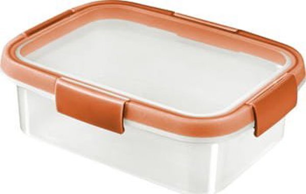 Curver Smart Fresh Ορθογώνιο Δοχείο Τροφίμων 1L, Μέντα/Ανοιχτό Γκρι/Ροδακινί