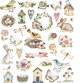 Αυτοκόλλητα Dalprint DPCRAFT Breath Of Spring, 31 Τεμάχια, 8128024