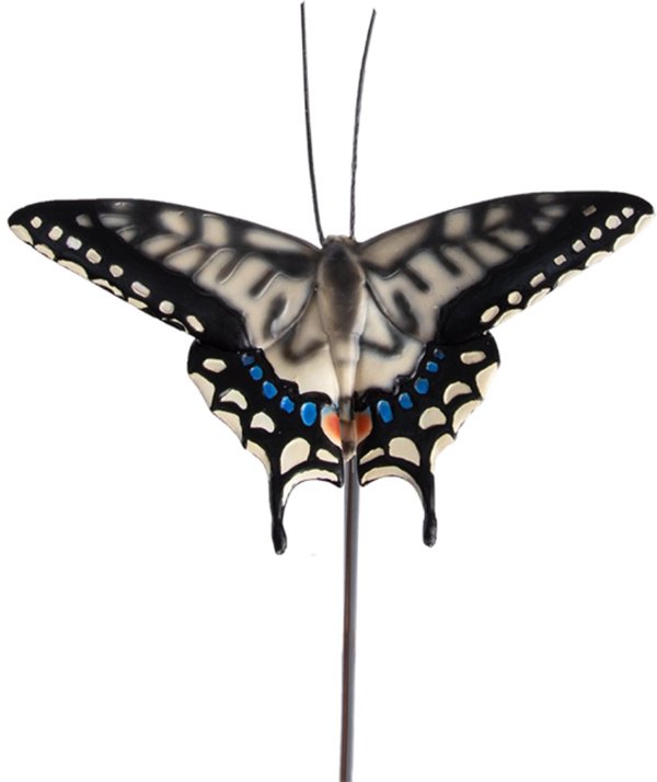 ΔΙΑΚΟΣΜΗΤΙΚΟ ΠΕΤΑΛΟΥΔΑ ΣΤΑΚΕ ΜΙΞ13Χ10Χ78.6CM