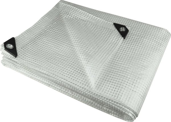 Dedra Πλαστική Κάλυψη Προστασίας 2x3m, 100g/m², Ενισχυμένο Διαφανές Μουσαμάς