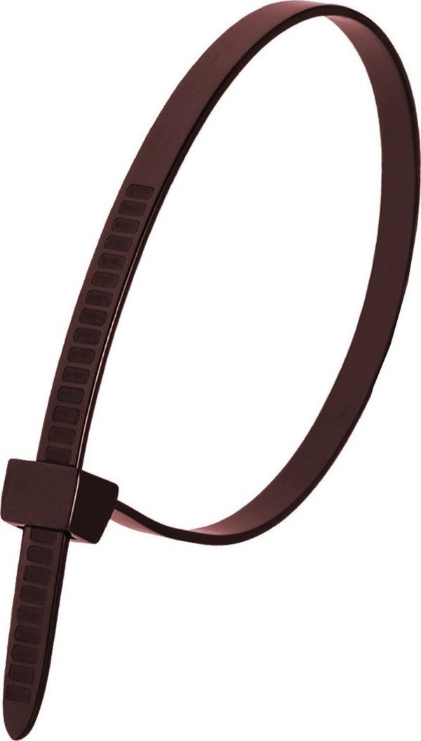 Dedra Νάιλον δεματικά καλωδίων καφέ 2,5x200mm (100τμχ.)