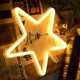Διακόσμηση Χριστουγέννων Forever Light Neon LED CHRISTMAS ΑΣΤΕΡΙ ζεστό λευκό Bat + USB FLNE22 Forever Light
