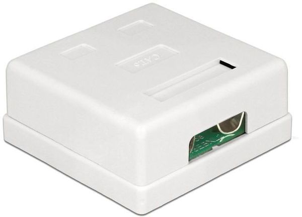 Πρίζα Τοίχου Modular Delock 2 Θέσεων Cat.6 (86269)