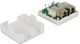 Πρίζα Τοίχου Modular Delock 2 Θέσεων Cat.6 (86269)