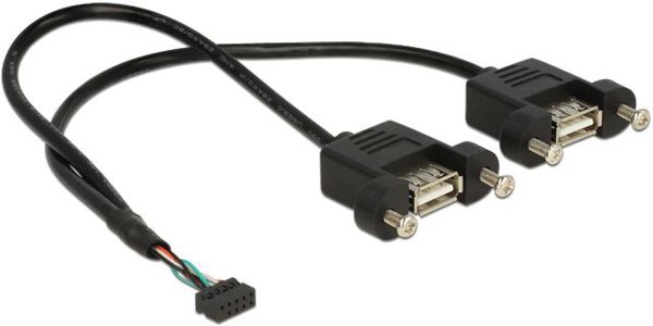 Delock USB εξωτερικό - USB εσωτερικό, 0.25m, Μαύρο (84832)