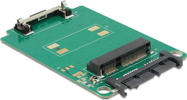 Μετατροπέας Delock Micro SATA - mSATA (62520)