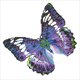 DIAMOND DOTZ DIAMOND DOTZ ΕΝΗΛΙΚΕΣ FLUTTER BY MAUVE