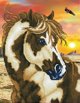 DIAMOND DOTZ Διαμαντένιο κέντημα Diamond Dotz Spotted horse 43,5x54cm DD9035 13913004 4897073246192
