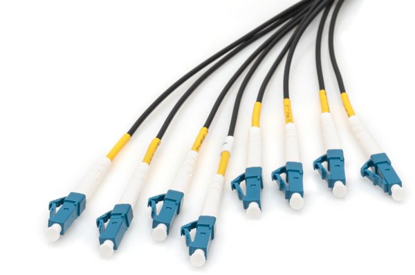 Digitus Zakonczoony fabrycznie uniwersalny kabel swiatlowodowy typu breakout, wielomodowy OS2, 8 wlokien, LC/UPC LC/UPC