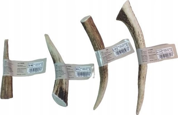 Dino DINO ΡΥΘΜΙΖΟΜΕΝΟ ΛΟΥΡΙ 12mm/200cm ΚΟΚΚΙΝΟ
