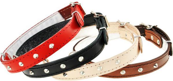 Δερμάτινο περιλαίμιο με καρφιά Dino 16mm/40cm μαύρο