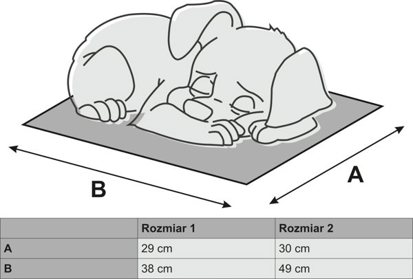 DOGGY R1 ΜΕΤΑΦΟΡΕΑΣ ΣΩΛΗΝΑΣ ΓΡΑΦΙΤΗ EKOLEN