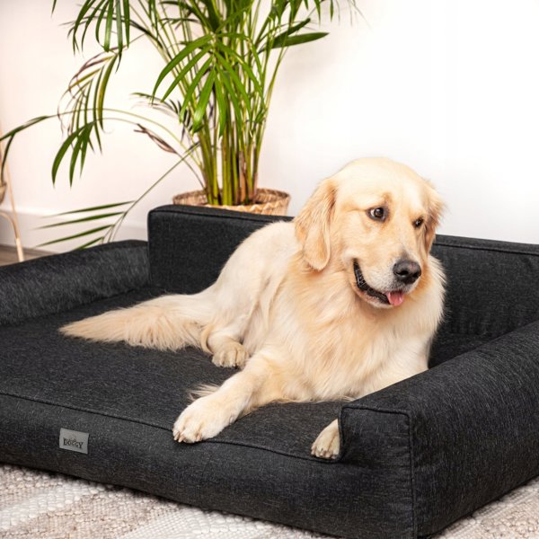DOGGY XXL GLAMOUR ΝΕΟ ΕΚΟΛΕΝ ΜΑΥΡΟ