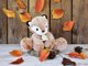 DOUDOU ET COMPAGNIE DOUDOU ET COMPAGNIE μαλακή αλεπού 25cm, HO3071 14234601 3700349330710