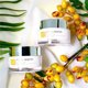 Dr. Hedison, Vita Bright, Antioxidants, Brightening, Cream, For Face, 50 ml For Women