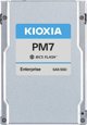Σκληρός δίσκος διακομιστή KIOXIA PM7-R 15.36TB 2.5'' SAS-4 (24Gb/s) (KPM7VRUG15T3)