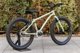 EARLY RIDER Belter 20&quot| παιδικό ποδήλατο, πράσινο