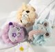 eCarla Σφουγγάρι σώματος SWEETY για υγρή χρήση XL 15cm GB15N