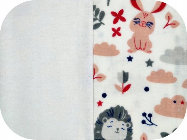 EgaKids EGAKIDS wash cloth, 0m+, 38/38, 6 pcs., mix, CH-1860