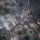 Μηχανή καφέ Electrolux Cocktail machine Electrolux E7CB1-6FGM