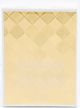 Elizabeth Arden Untold EDP 100ml