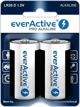 Μπαταρία EverActive D / R20 2 τεμ.