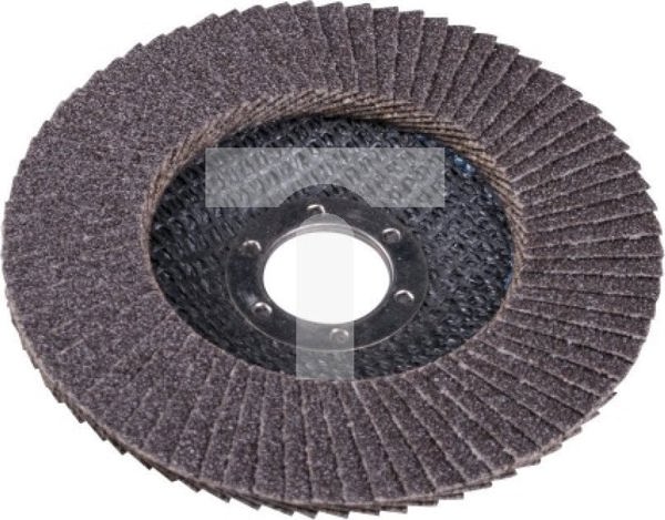 EXPERT ΤΡΟΧΟΣ ΛΕΙΑΝΣΗΣ ΔΙΣΚΟΣ 115 GR.60 FLAT [EXPERT] - 10τμχ