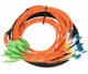 Extralink SC/APC-LC/PC multipatchcord SM 24F 7M, 1m