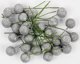 FANDY Φρούτα ilex 12cm ασημένιο glitter