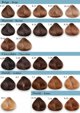 Fanola Κρέμα βαφής μαλλιών Extra Chocolate (5.29)