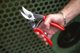 Felco Universal scissors FELCO CP