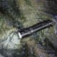 Fenix   PD36 TAC flashlight