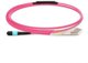 Fiber Patch Cable - 8 cores