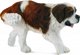 Φιγούρα Collecta *BERNARD THE DOG
