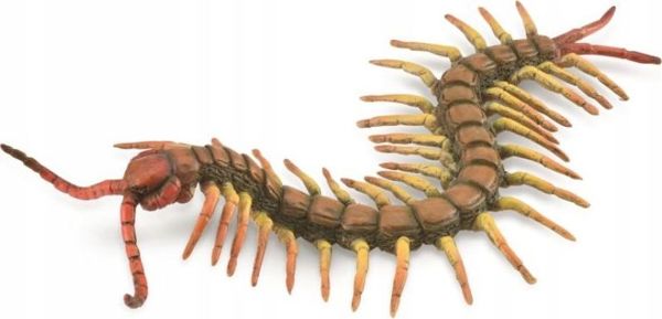 Φιγούρα Collecta Σαρανταποδαρούσα (Centipede) - Μέγεθος L, Ρεαλιστική Φιγούρα Ζώου 88885