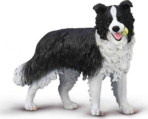 Collecta Φιγούρα Border Collie 80012 – Ρεαλιστικό Ειδώλιο Σκύλου