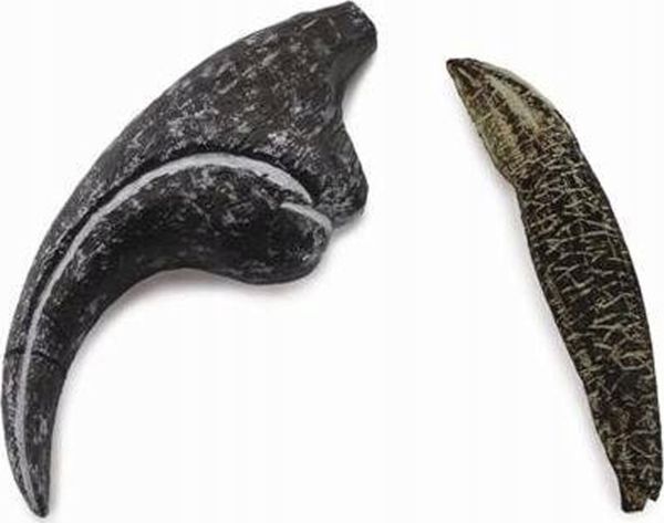 Collecta Φιγούρα Allosaurus Tooth And Claw - 89288 - Συλλεκτικό Ειδώλιο Δεινοσαύρου
