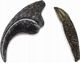Collecta Φιγούρα Allosaurus Tooth And Claw - 89288 - Συλλεκτικό Ειδώλιο Δεινοσαύρου