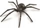 Collecta Συλλεκτική Φιγούρα Black Widow Spider - 88884 - Πλαστική Φιγούρα Ζώου για Παιδιά από 3 Ετών