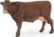 Σταθμός πλυσίματος αγελάδων Schleich Schleich Farm World, φιγούρα παιχνιδιού