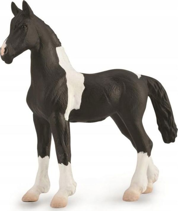 CollectA Φιγούρα Πουλάρι Barcock Pinto - Συλλεκτικό Παιχνίδι Ζώο 88893