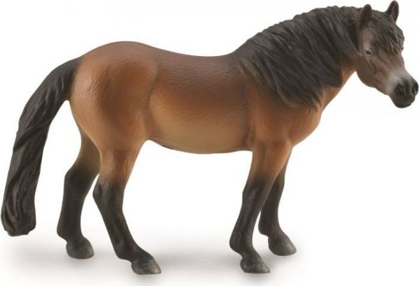 Collecta Φιγούρα Exmoor Pony 88873 - Ρεαλιστικό Συλλεκτικό Ειδώλιο Ζώου - L
