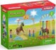 Σετ εκπαίδευσης ευκινησίας για πόνυ Schleich (42481)