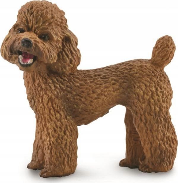 CollectA Συλλεκτική Φιγούρα Κανίς (Poodle) - Μέγεθος M - Πλαστική Φιγούρα Ζώου για Παιδιά άνω των 3 ετών