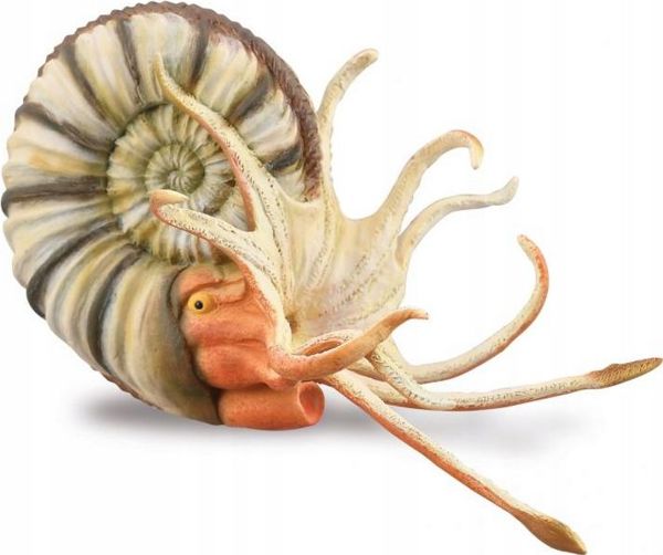 CollectA Φιγούρα Pleuroceras Ammonite - Συλλεκτικό Πλαστικό Ειδώλιο - XL 88902