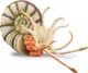 CollectA Φιγούρα Pleuroceras Ammonite - Συλλεκτικό Πλαστικό Ειδώλιο - XL 88902