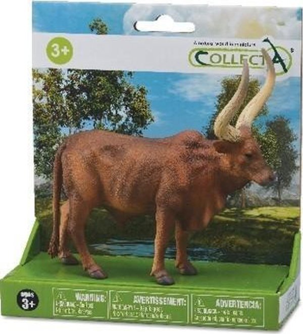 Figurka Collecta COLLECTA BYK ANKOLE-WATUSI W OPAKOWANIU
