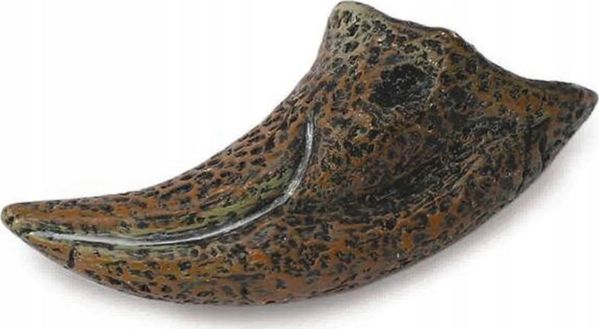 CollectA Φιγούρα Tyrannosaurus Rex Claw - Συλλεκτικό Ομοίωμα Δεινοσαύρου 89280