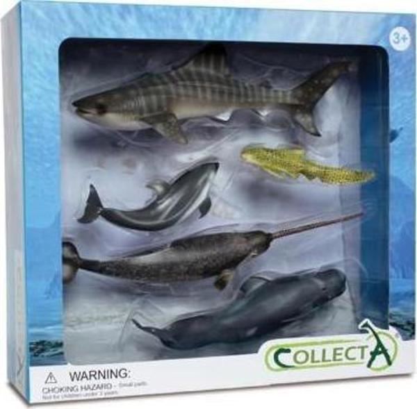 Φιγούρκα Collecta Σετ 5 Θαλάσσια Ζώα σε Συσκευασία 89671 COLLECTA